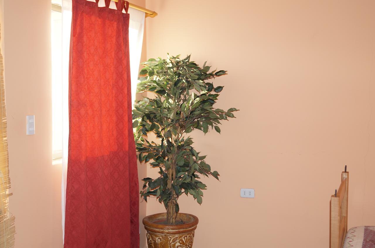 Hostal Intipara Сан-Педро-де-Атакама Экстерьер фото